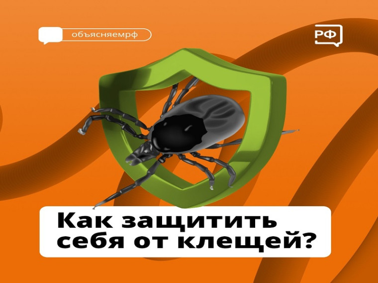 Как защитить себя от клещей?.